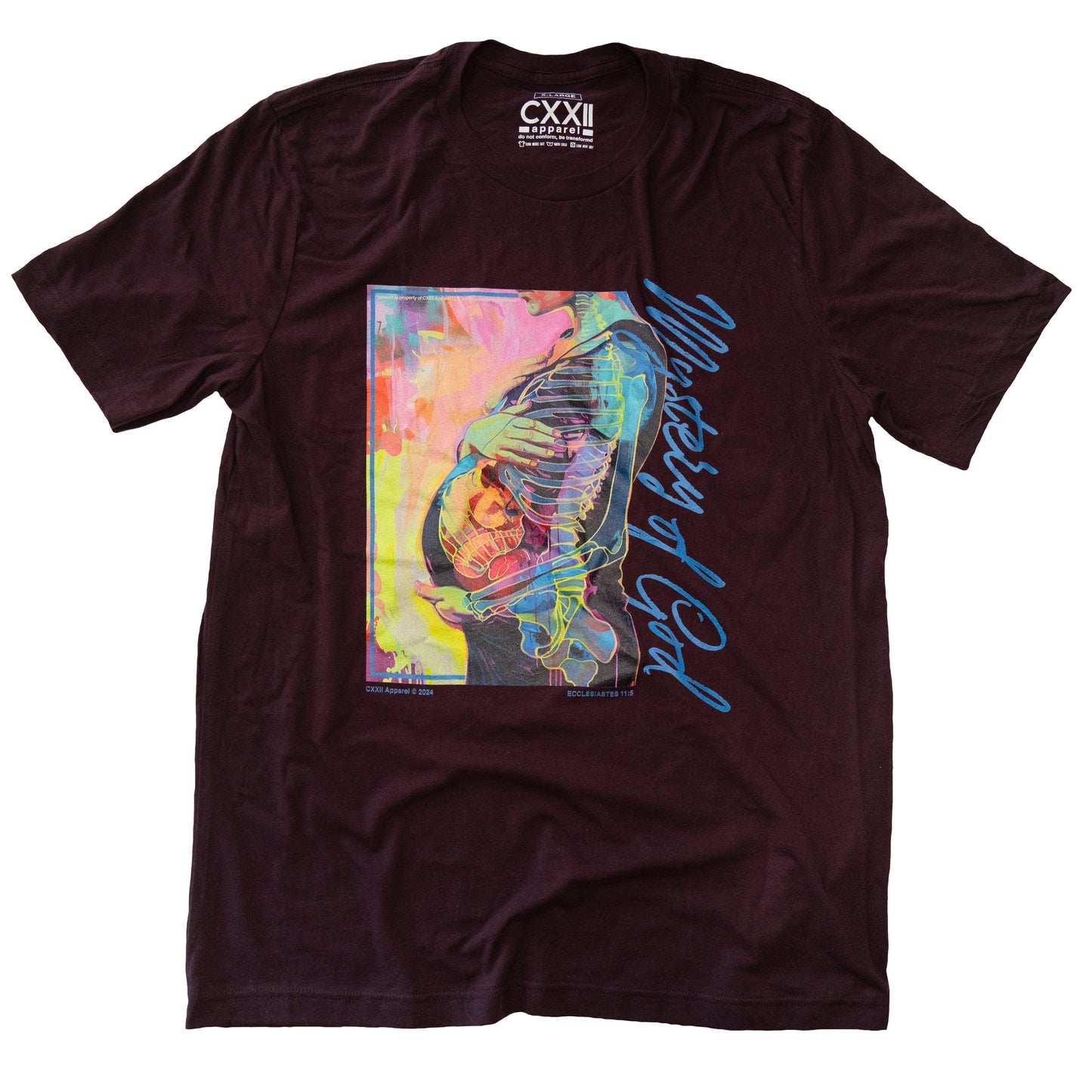 VOTD Ecclesiastes Series "Mystery Of God" Tee